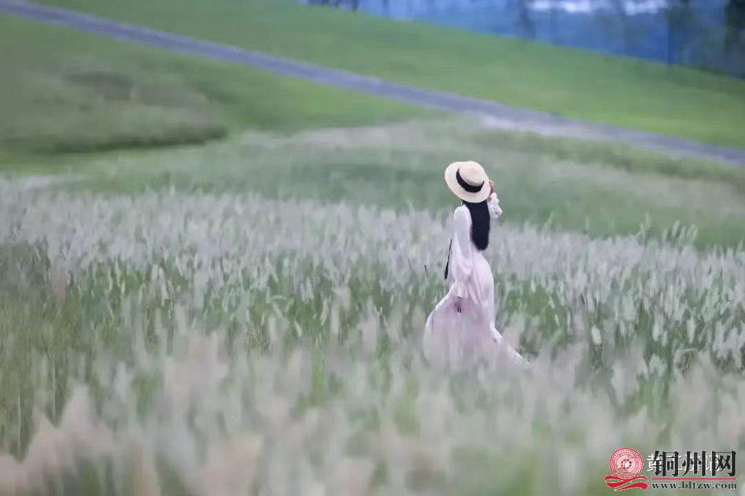 wechat_upload1700482764655b4ecc11772