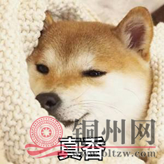 677229ea7e50b399ed2761d5a233255f.png
