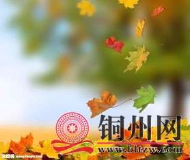 wechat_upload1701603862656c6a16a2ddf