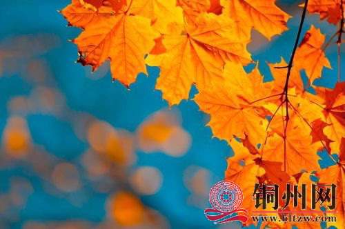 wechat_upload1701603863656c6a17506a9