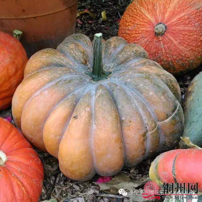 wechat_upload170979632965e96be959d32