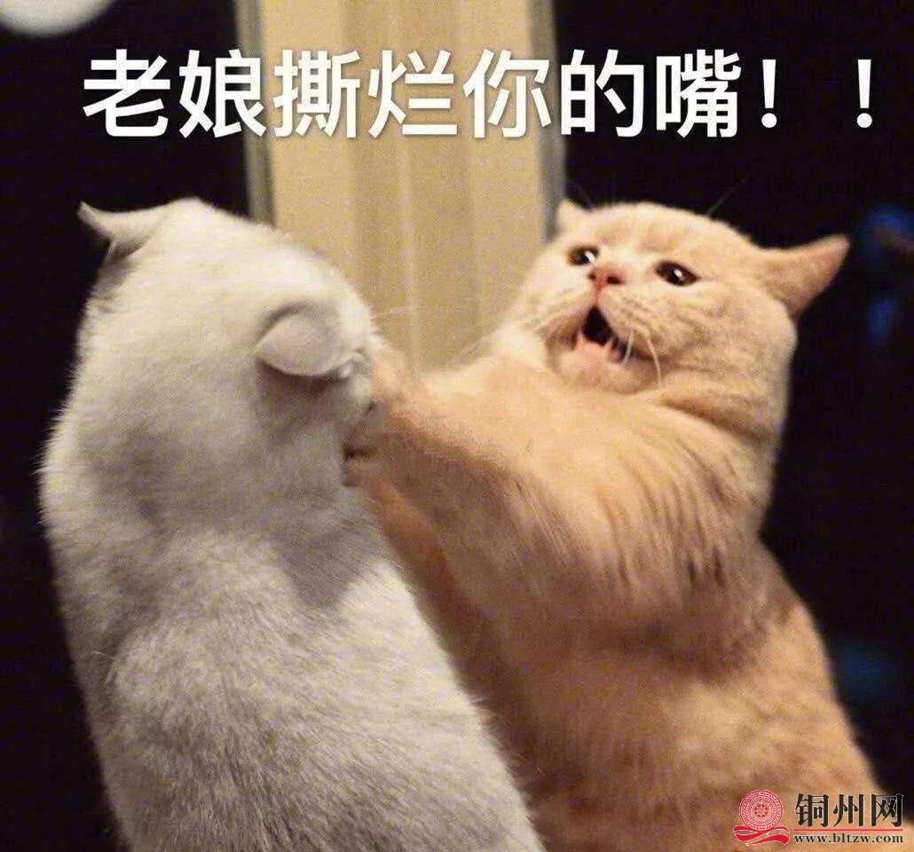 wechat_upload171078584465f8853405337