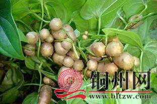 wechat_upload171095872265fb288227d5b