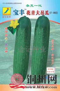 wechat_upload171095872265fb2882c454e