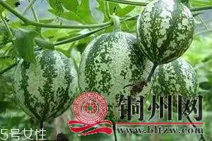 wechat_upload171095874665fb289acfd8d