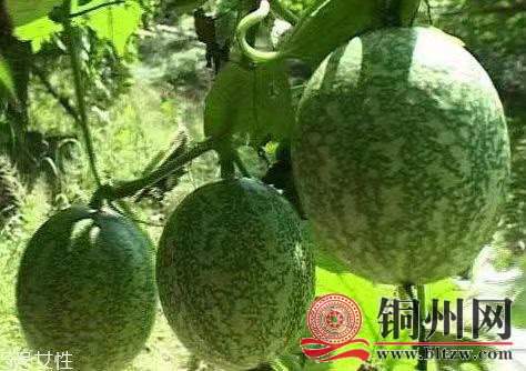 wechat_upload171095874665fb289a8750e