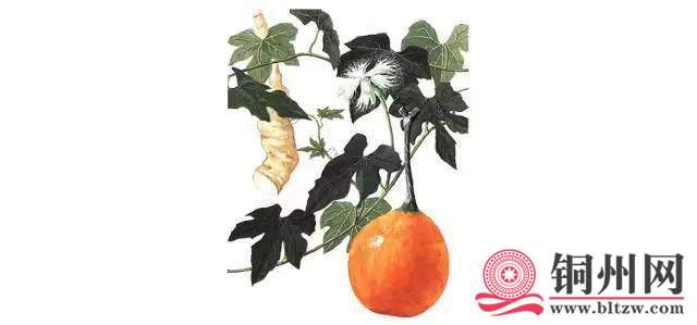 wechat_upload171095874665fb289a34b8f