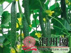 wechat_upload171123985265ff72ac11f96