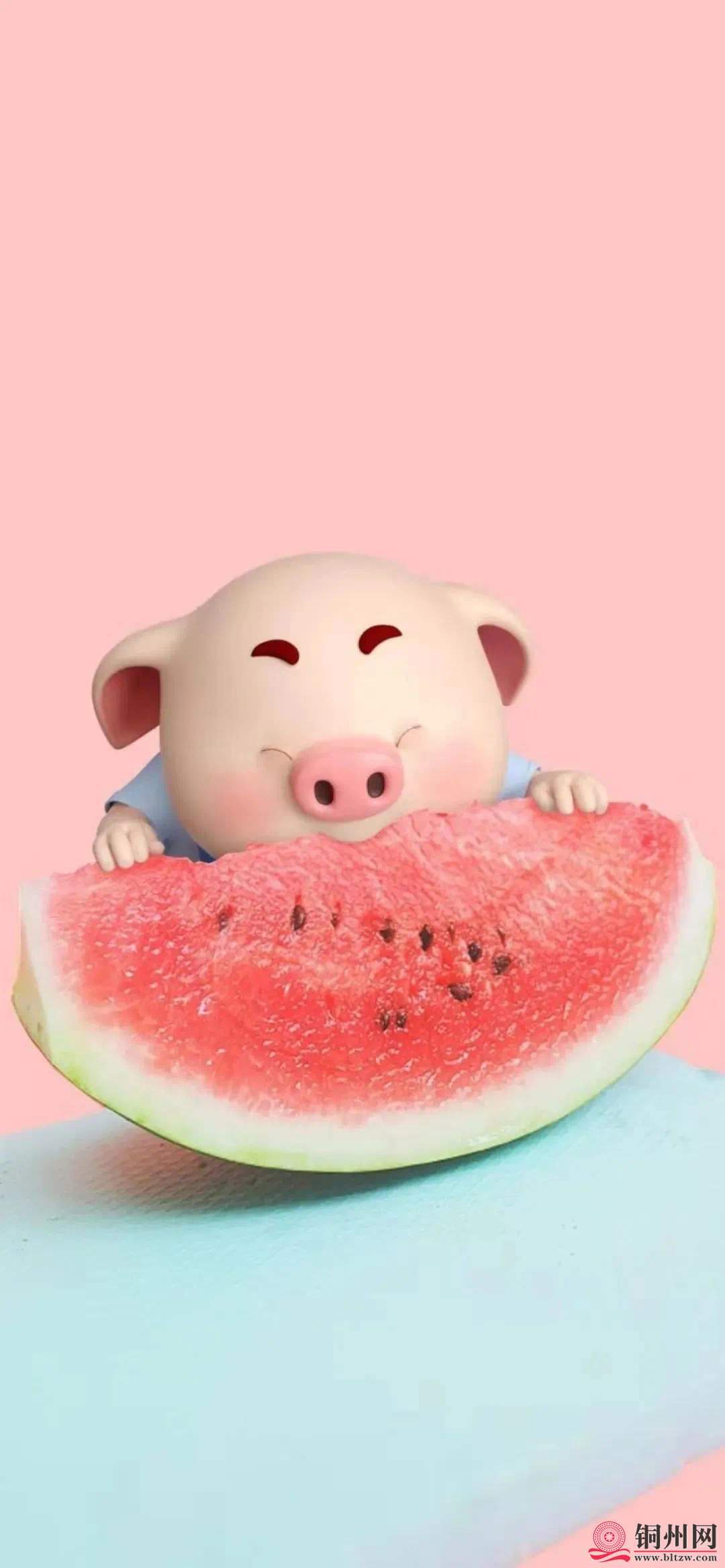 wechat_upload171123985465ff72ae8731c