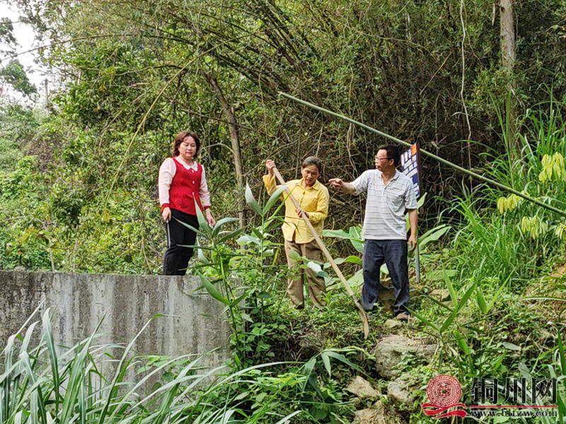 wechat_upload1712113582660cc7ae77f7c