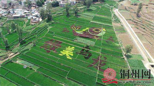 wechat_upload17125125966612de5493866