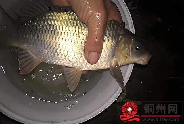 wechat_upload172403062766c29ea3c8871