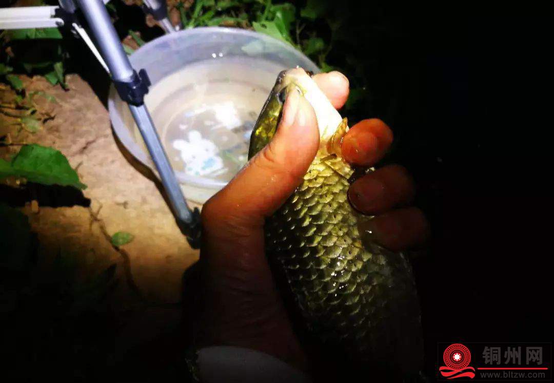 wechat_upload172403062866c29ea47404a