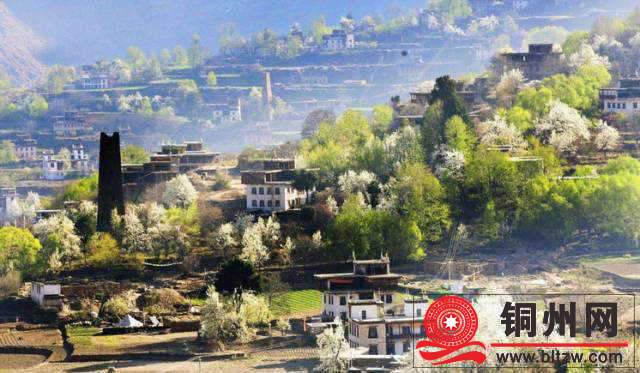 wechat_upload172486778266cf64c6d02d8