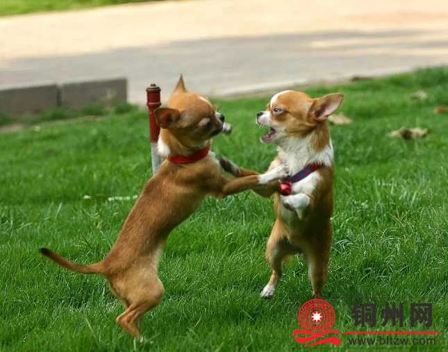 wechat_upload1728855335670c3d27444d7