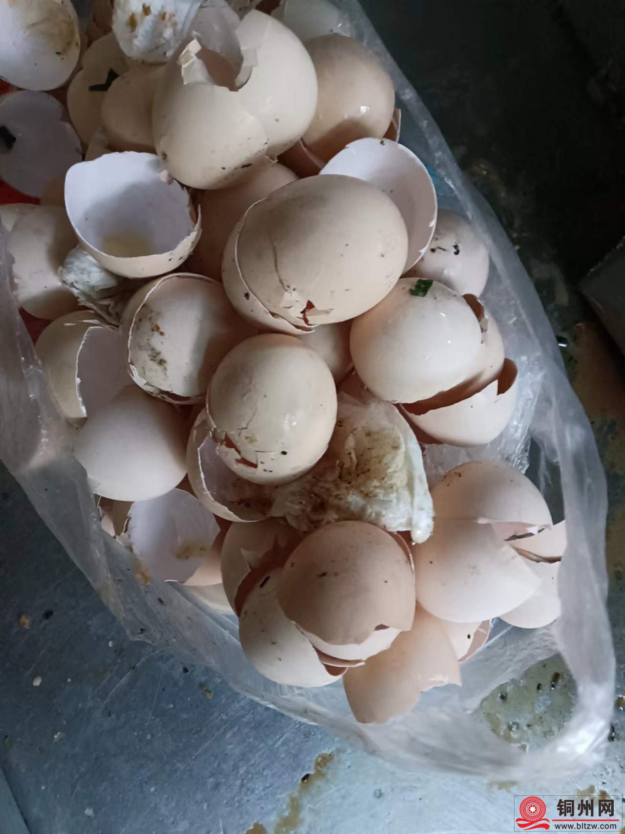 wechat_upload1728855336670c3d2822745