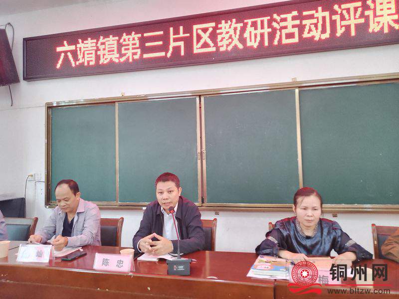 图为镇中心学校陈忠校长正在作总结发言.jpg