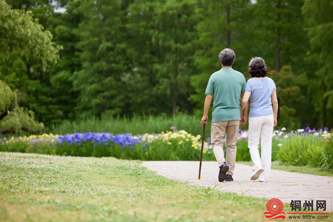 wechat_upload1731084679672e418784a2c