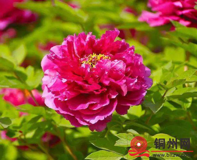wechat_upload173392581767599bb98db60