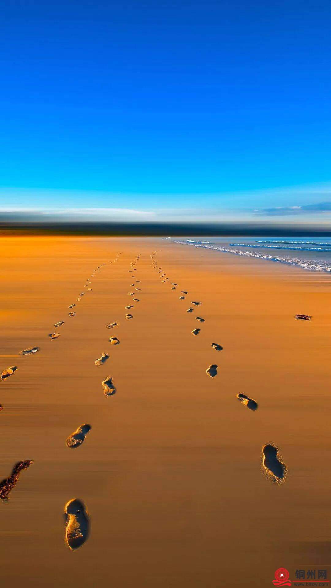 wechat_upload1738421132679e338ca17bc