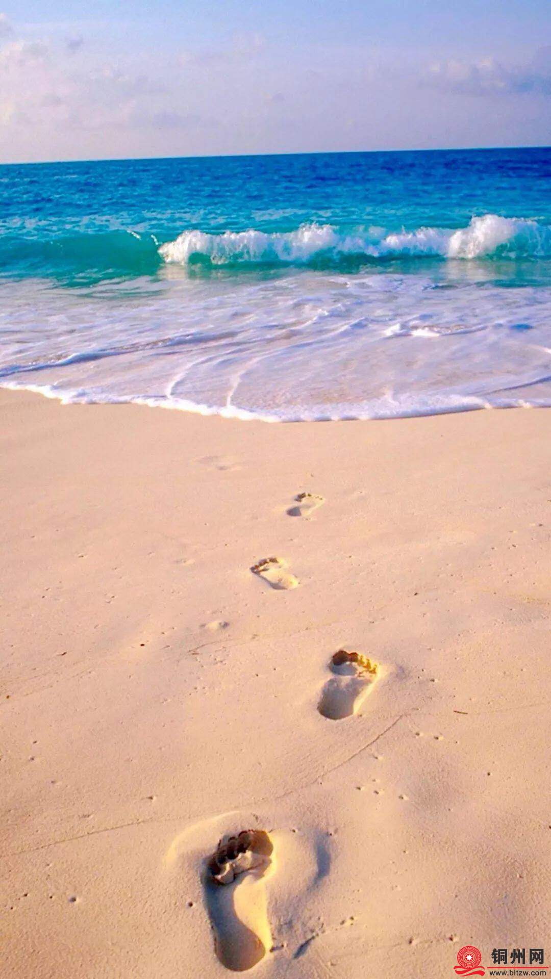 wechat_upload1738421133679e338d483e5