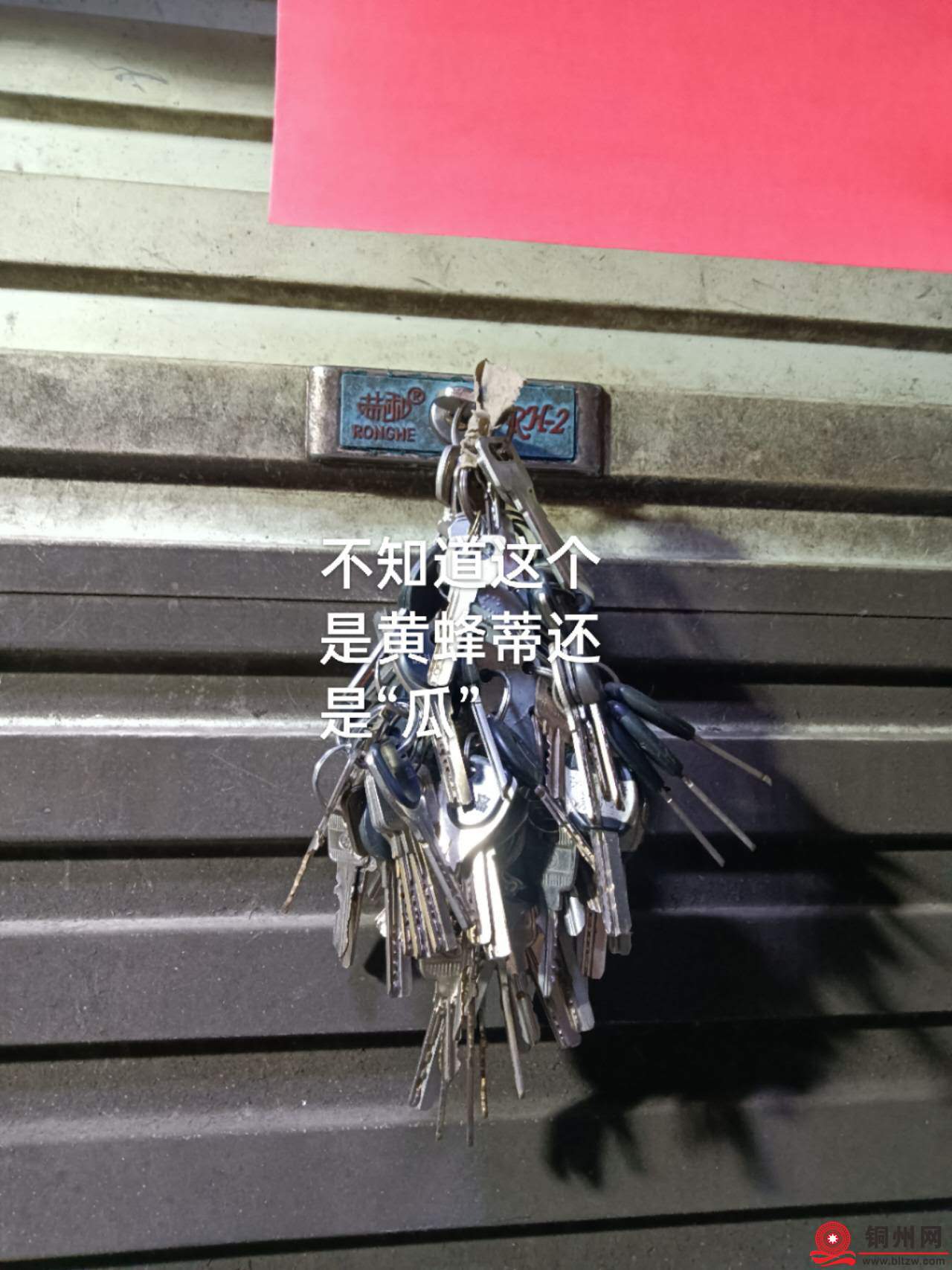 wechat_upload174005184967b71589226ca