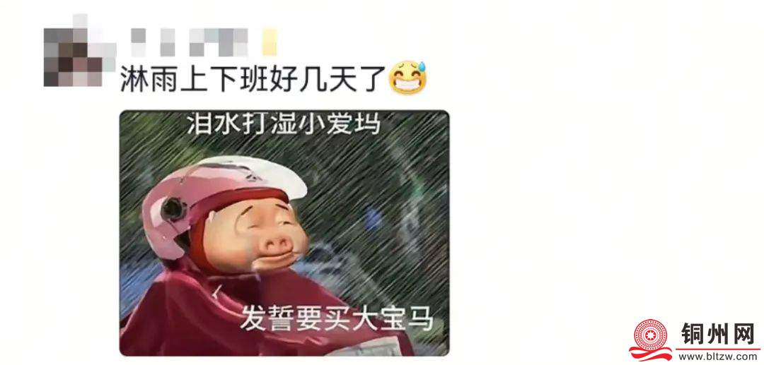 50bfdcd5ee31801079c977daebdfd4fd.jpg