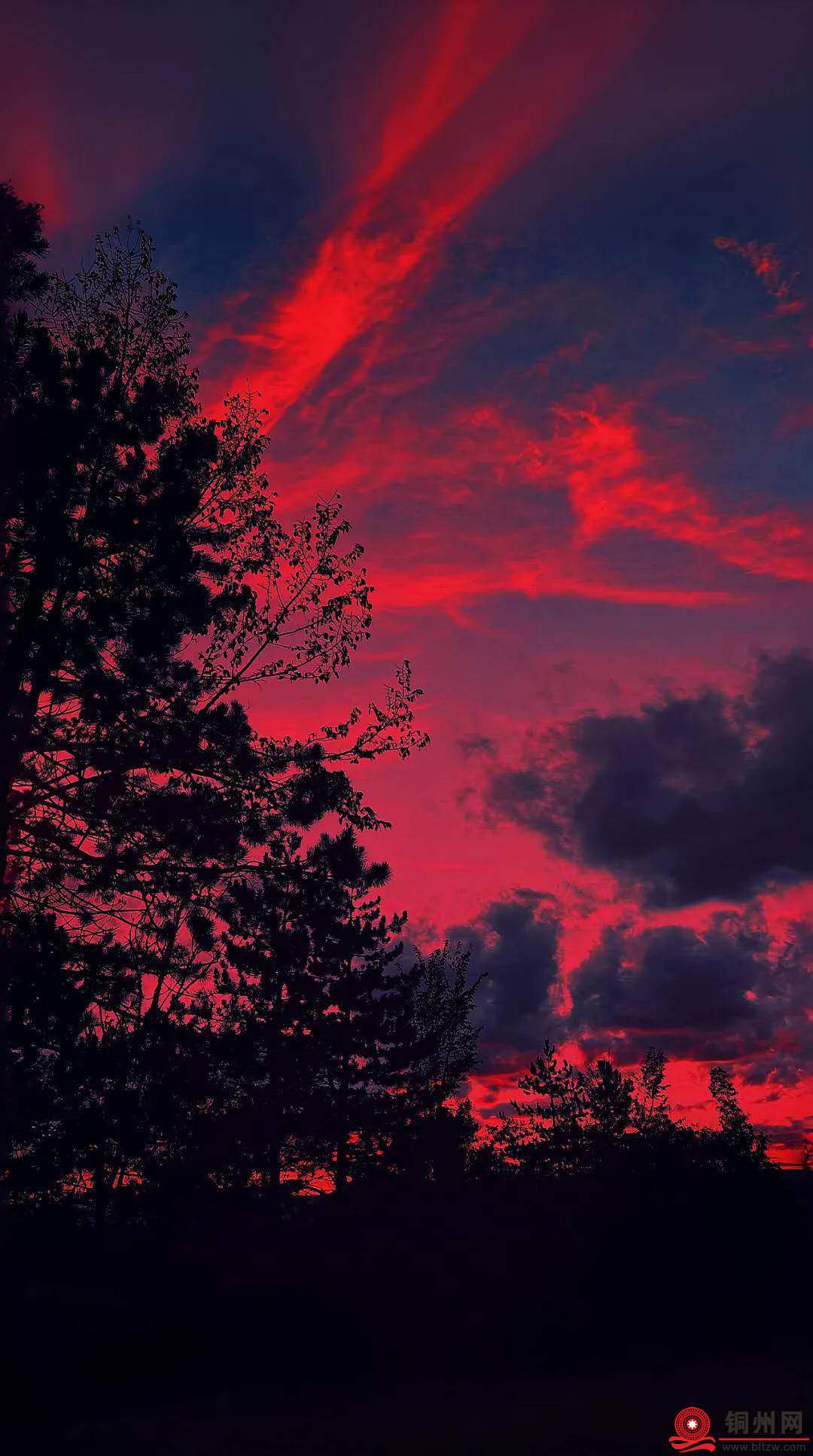 wechat_upload174071050167c122653a6e1