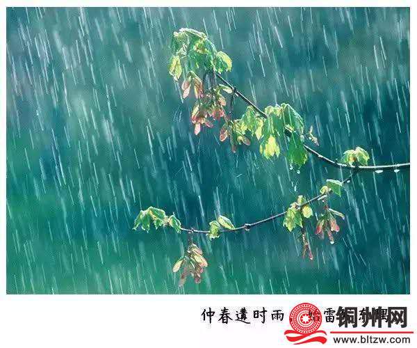 wechat_upload174072609967c15f53dfc64