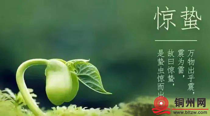 wechat_upload174072610067c15f545d51c