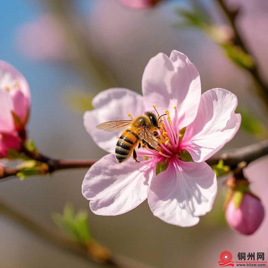 wechat_upload174145770567cc89291fcb3