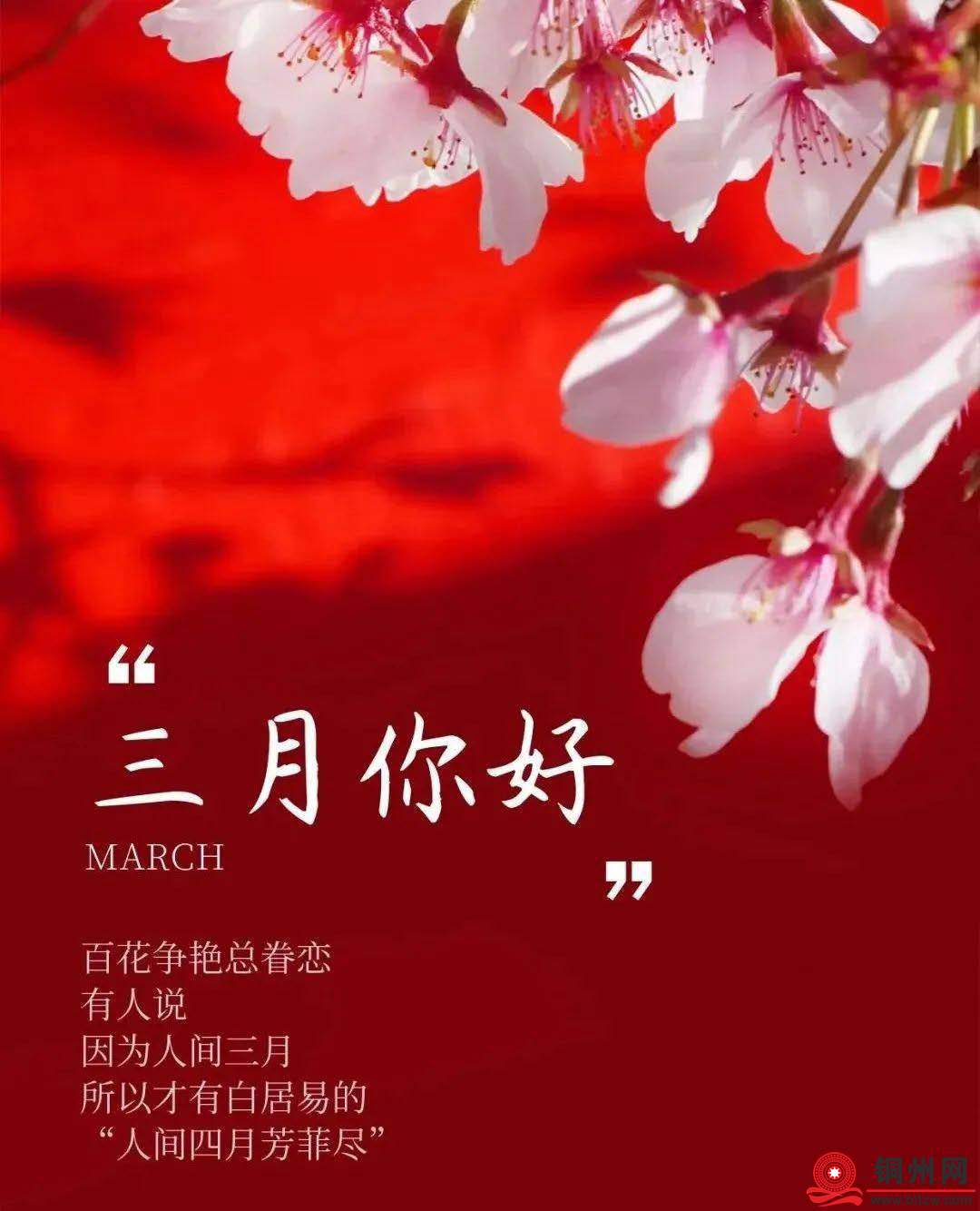 wechat_upload174177542567d16241ddf15