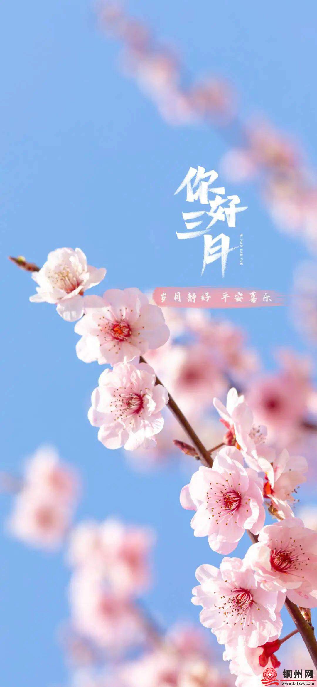 wechat_upload174177542667d162429ef1c
