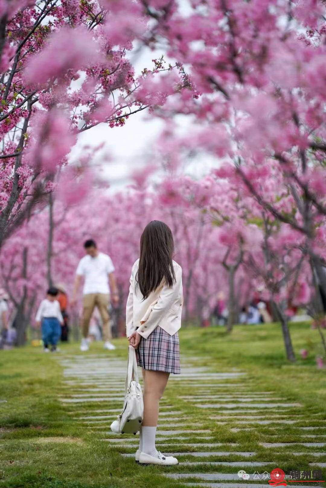 wechat_upload174234793967da1ea32feb8