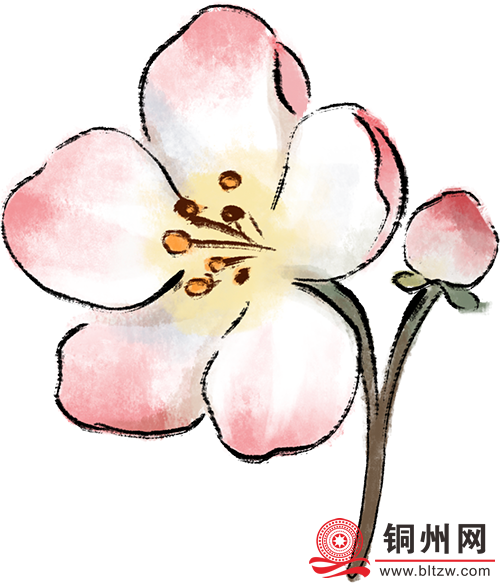 973a569cad6c98a17d18f987ce02e9e4.png