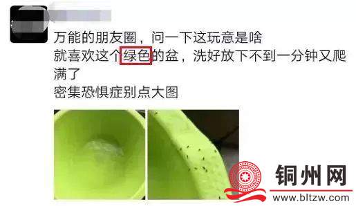 1a04d222b9fda59baac0674ef4d08952.jpg