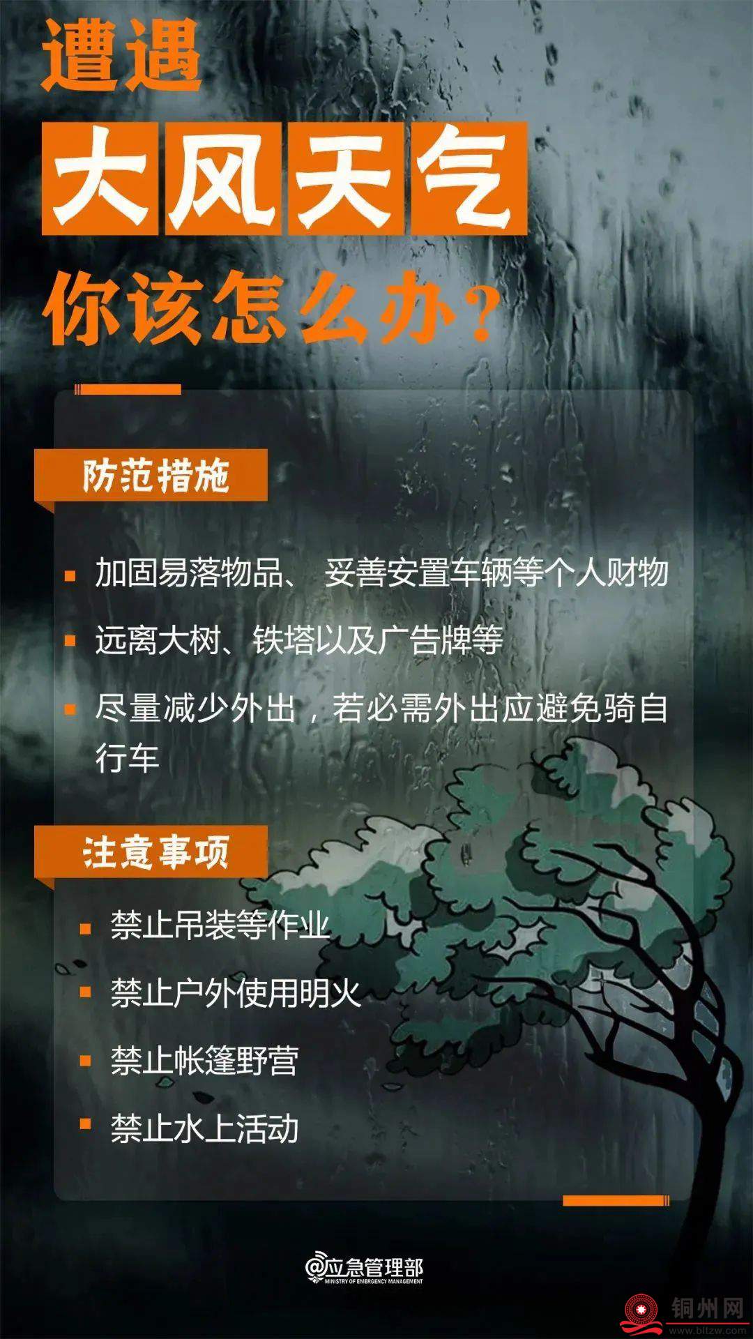 10bdbeedc82eba583181dc3b27e7e24e.jpg