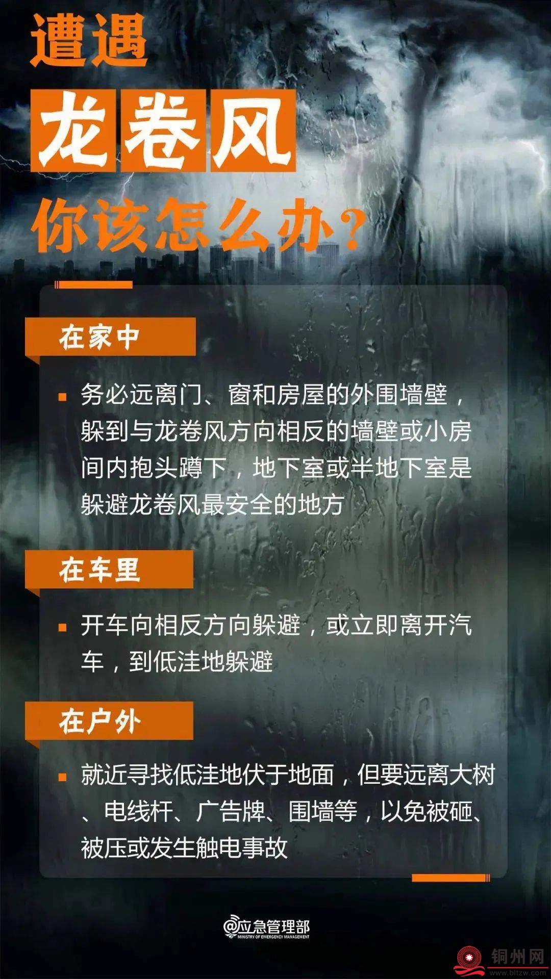 111be72b892cb8c4cd5db28326c7cf10.jpg