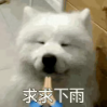 545f73c54a756b449a654861d7d4f659.png