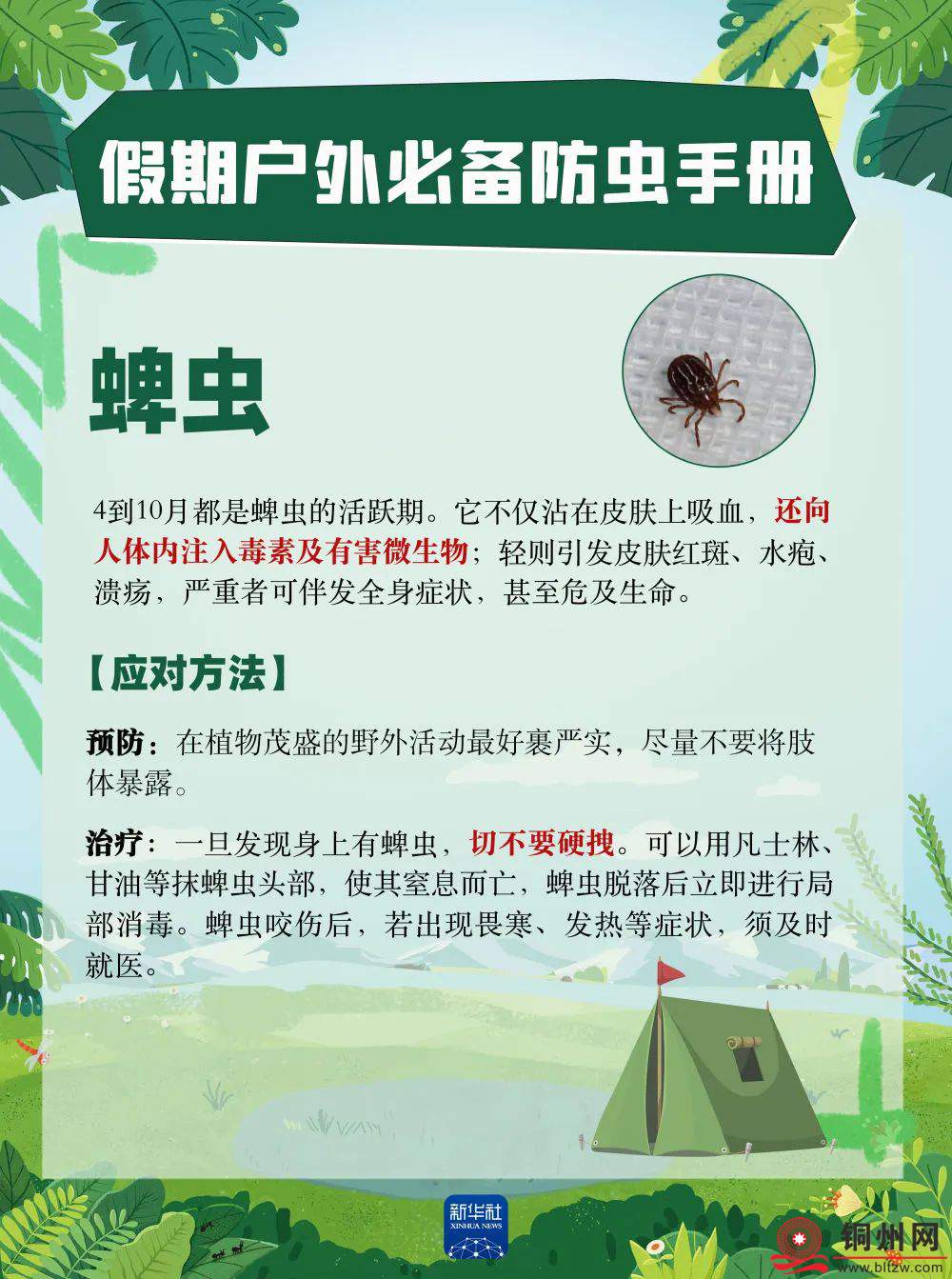 0cf2d30d3b7b91f3f6578d97acc402b9.jpg