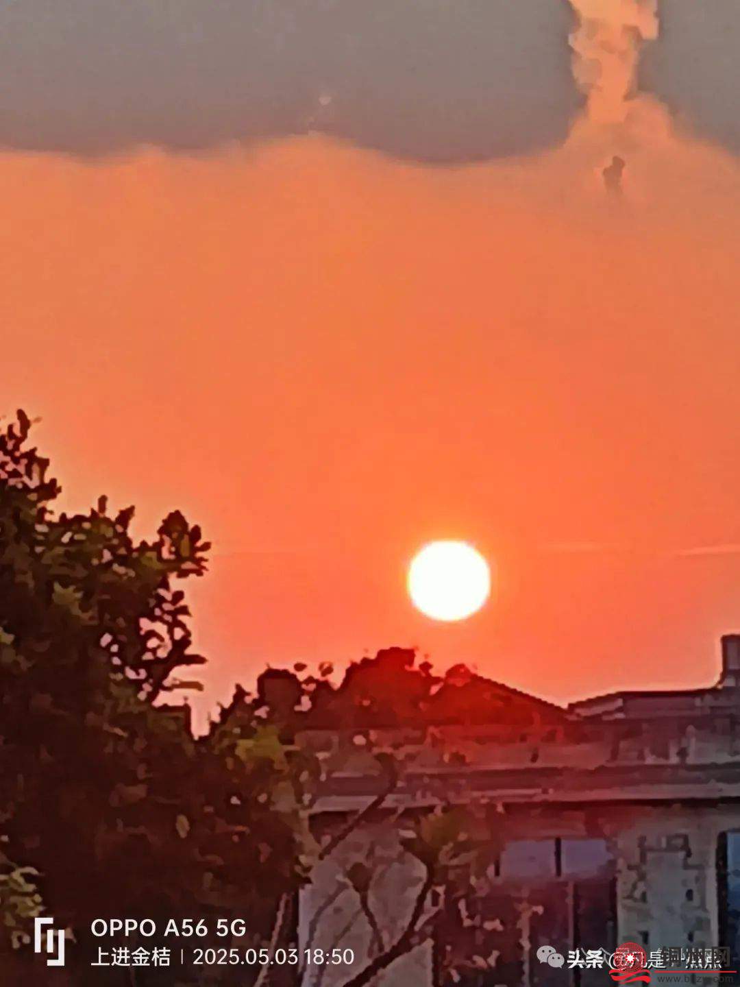 f798d0581e5f4ac47b64e00c530fa29d.jpg