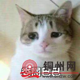 f38c6a148e7abfe504e9abe46b5ac4cd.jpg