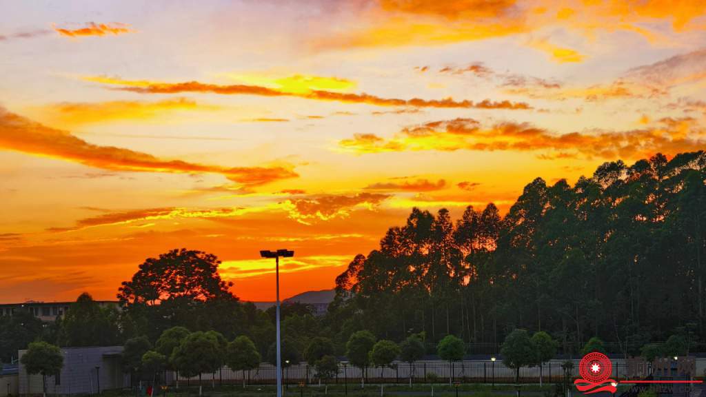 204962_06cd051b4ad68ca1782d8d6b75c8f8a8.jpg