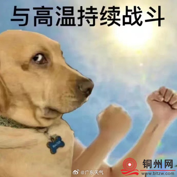 2f980e711ca766b5c084bd6566e54c3a.png