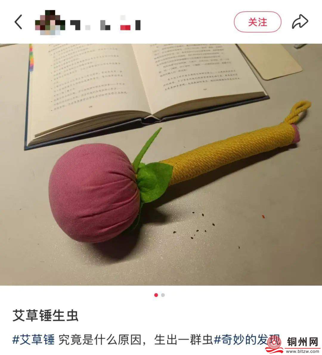2acc6b765ce7615bde7f44cd80dcb118.jpg