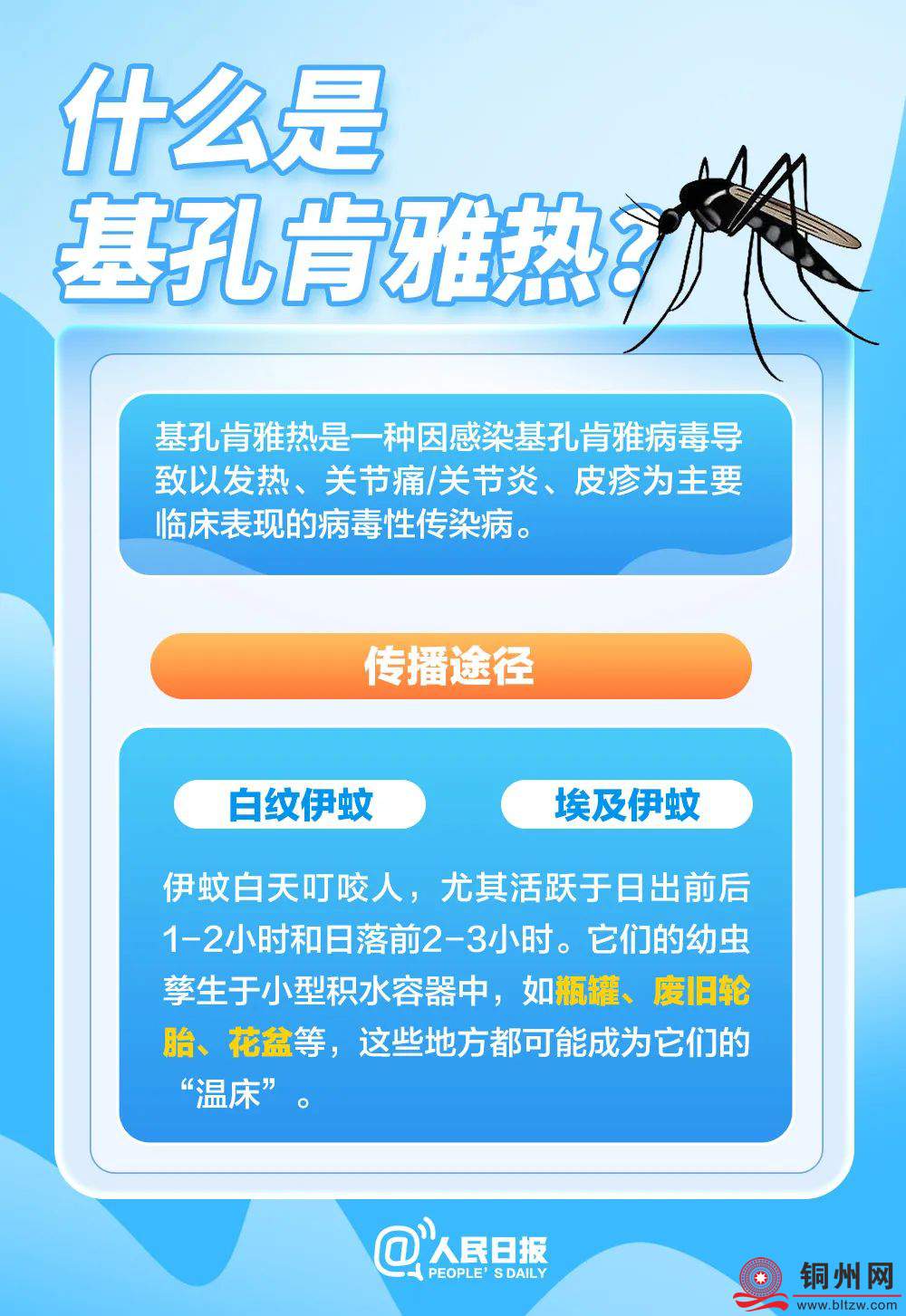 b384d0a5b61c112a21f3e9c8ae879bd4.jpg