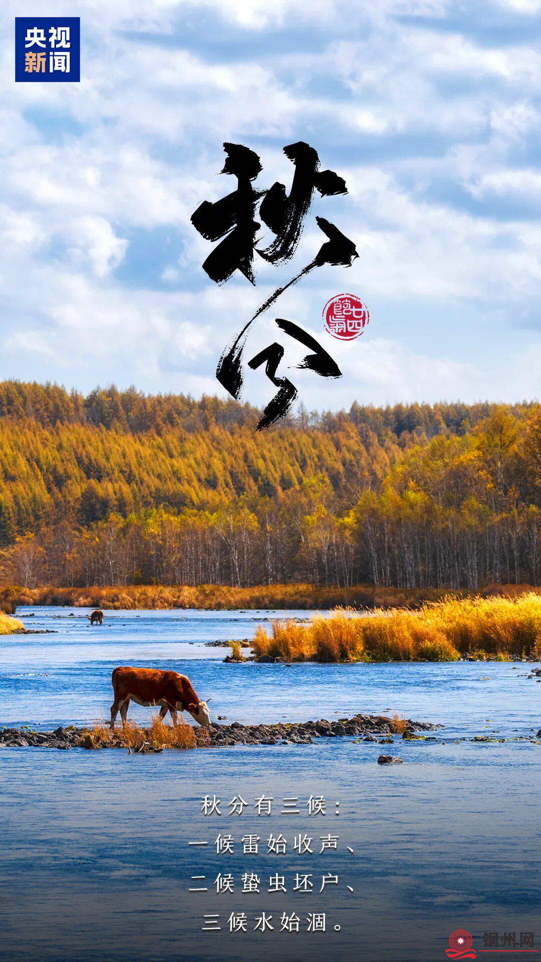 e7cba9ae276b3c0373b4642653a506f0.jpg