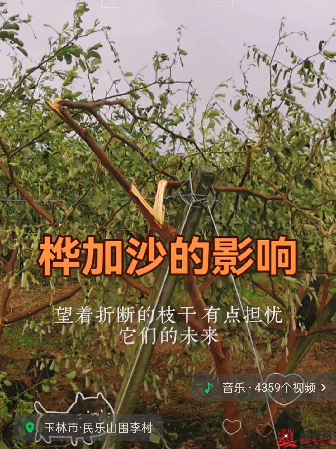 6b91b77208e46dd20546bbb240bbf528.jpg