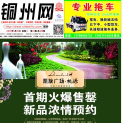 2015第041期北流网DM广告，总第380期